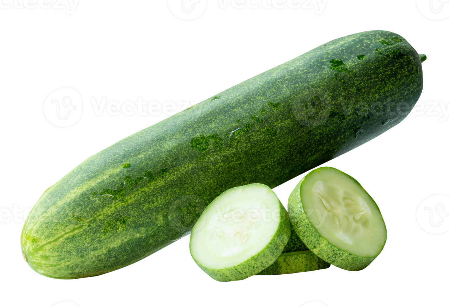 Side view of fresh green cucumber with slices in circle shape in stack isolated with clipping path in file format png
