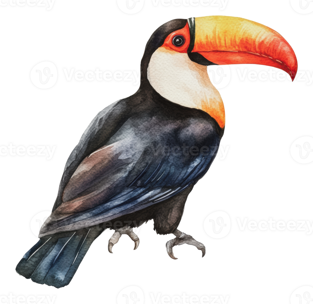 A vibrant toucan perched in natural setting png