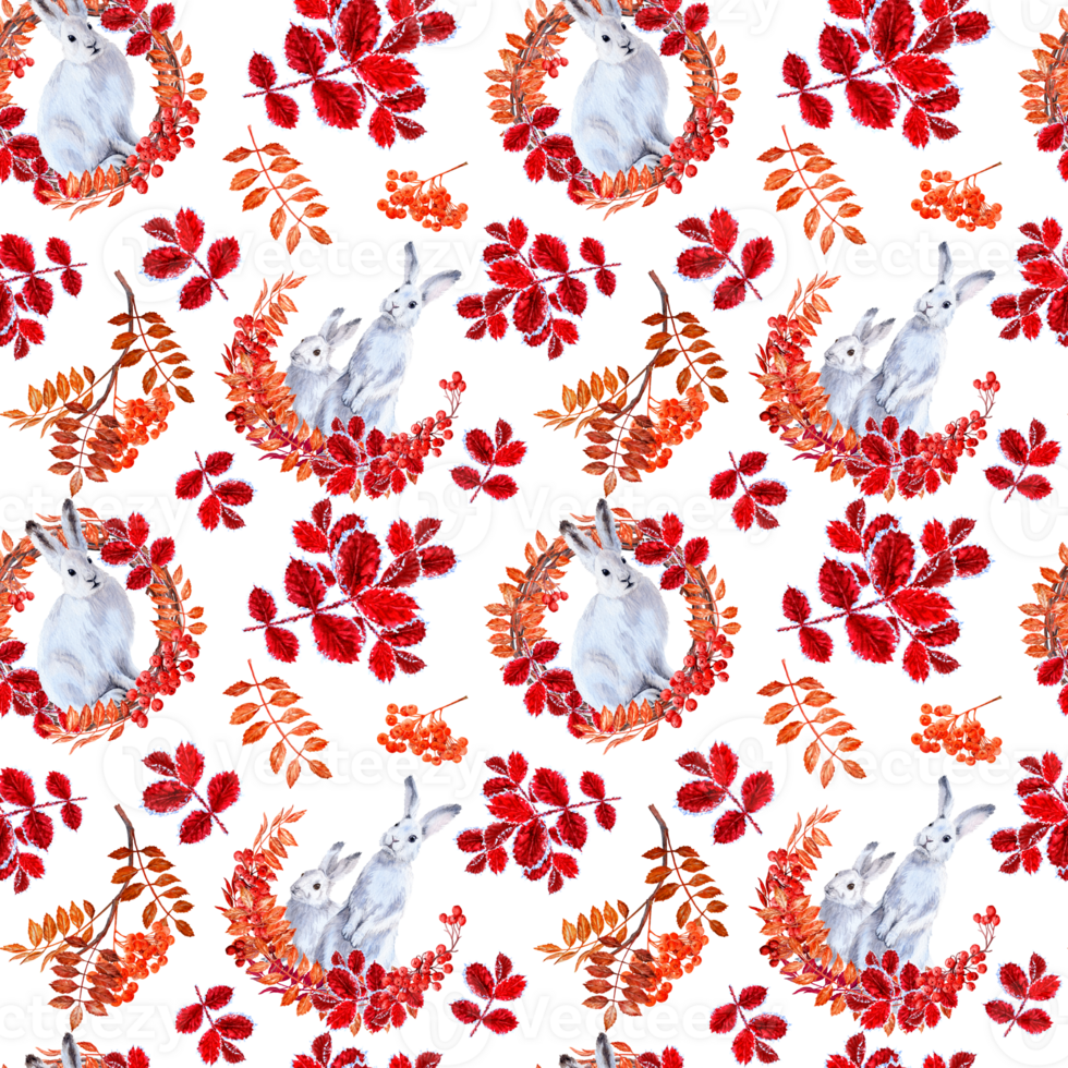 Hand drawn seamless pattern White Hare sitting in round vignette of ashberries and red frosted leaves png
