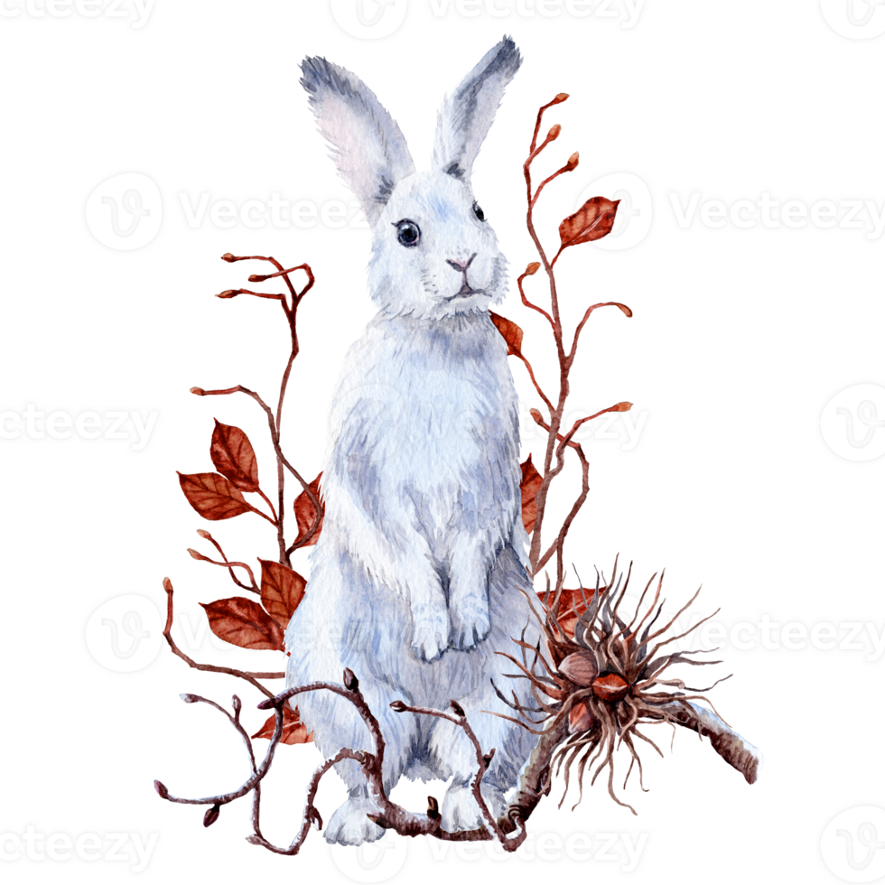 white hare standing with hazel branch and some pear branches png