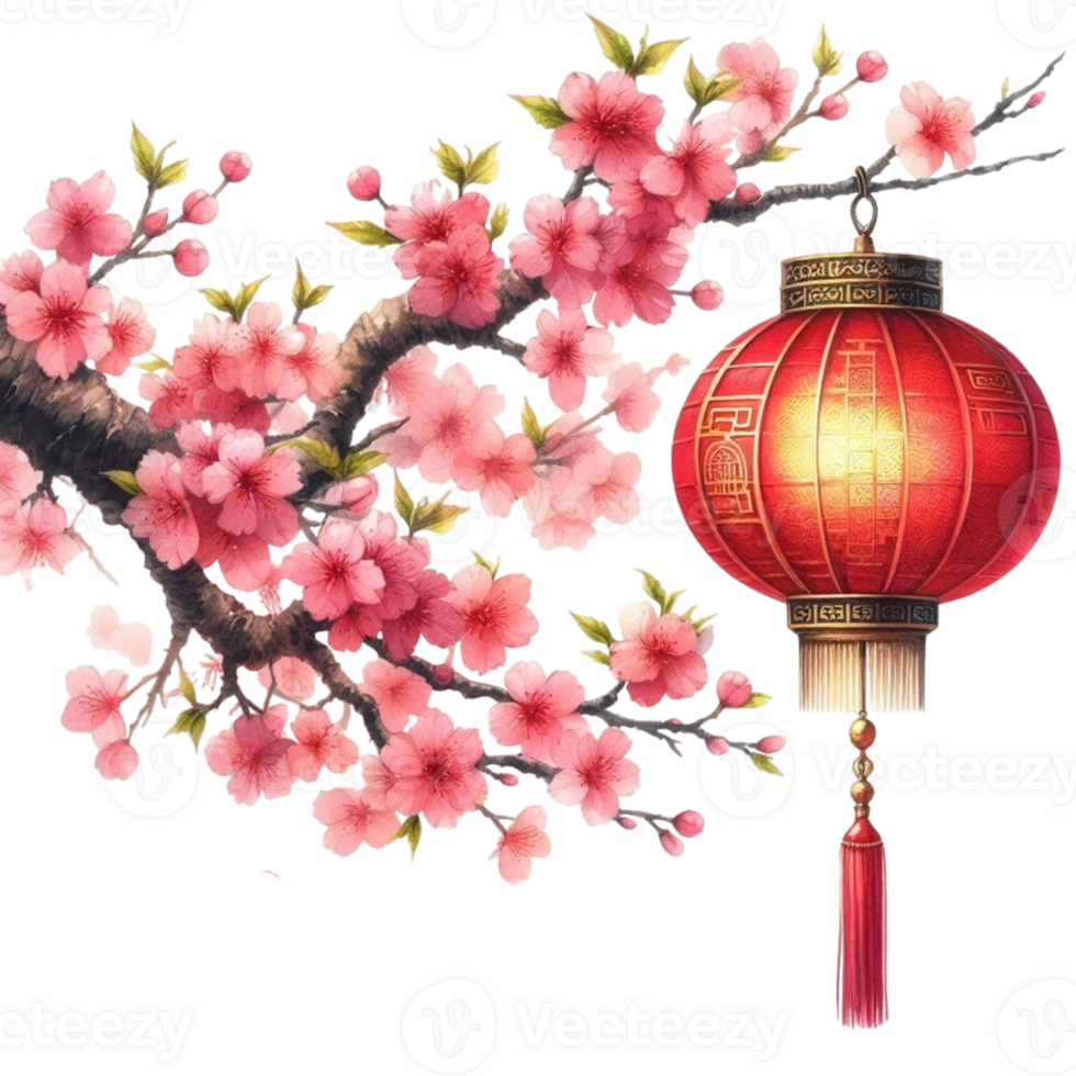 Chinese lantern, cherry blossom, chinese new year png