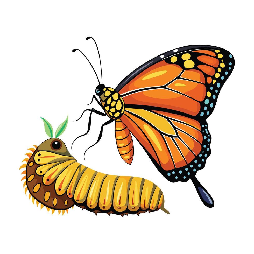 Butterfly and caterpillar vector