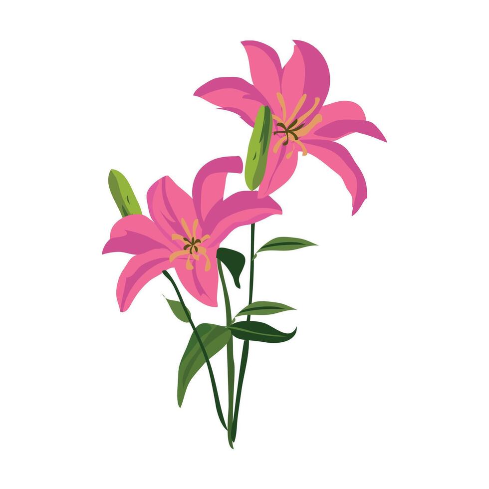 lirios which is translated as Lily hand drawn flat illustration design vector