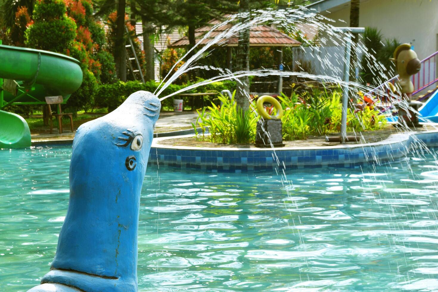 The statue of a seal that emits a fountain from its mouth photo