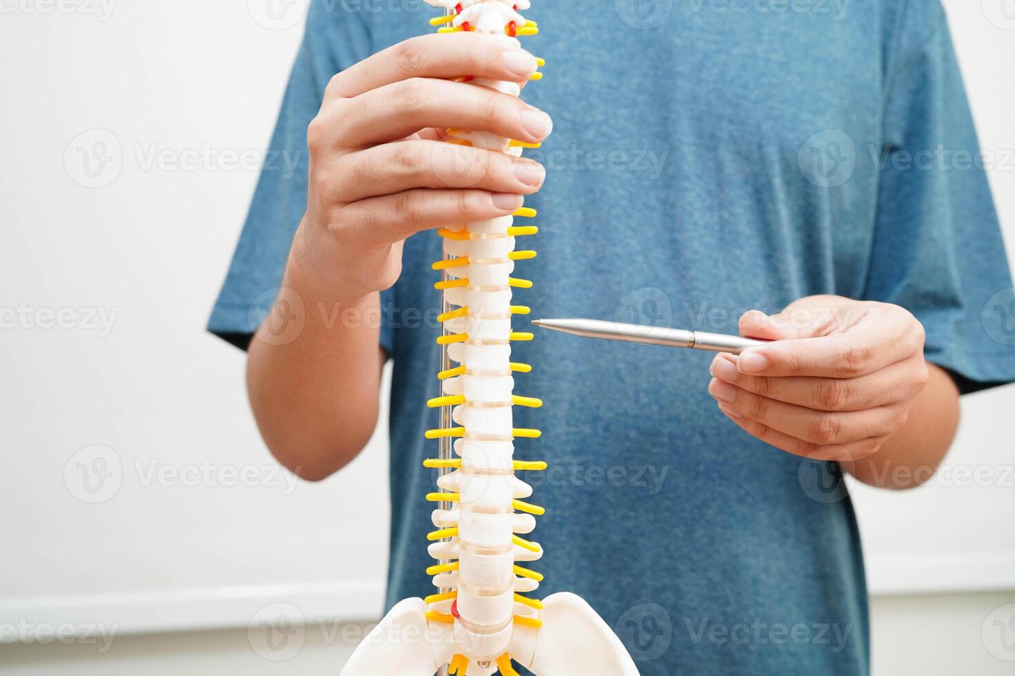Asian student learning with human bone and spinal nerve model in anatomy biology in classroom at high school. photo