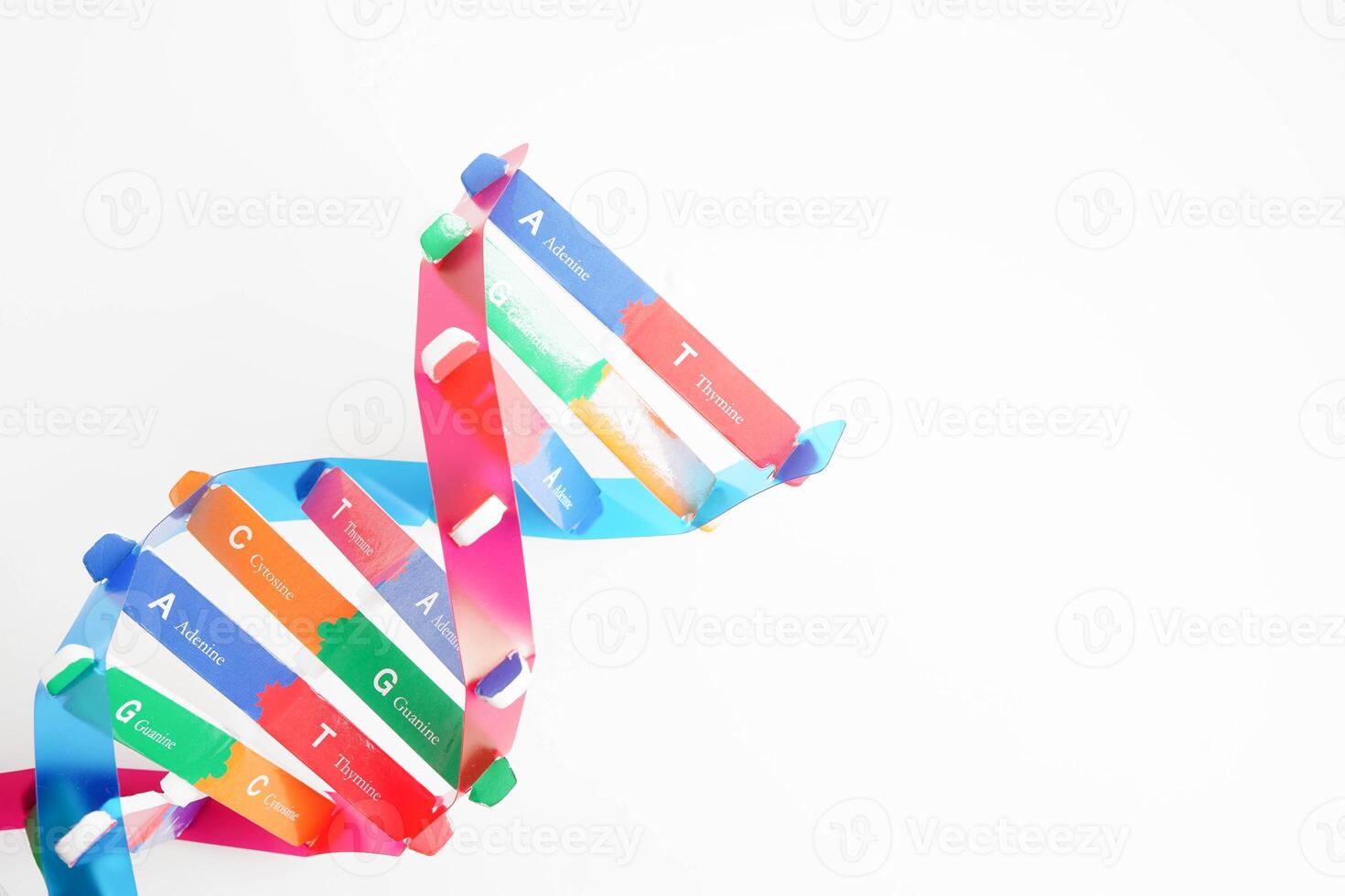 DNA molecule spiral structure model isolated on white background, chromosome and gene chemical science biology. photo
