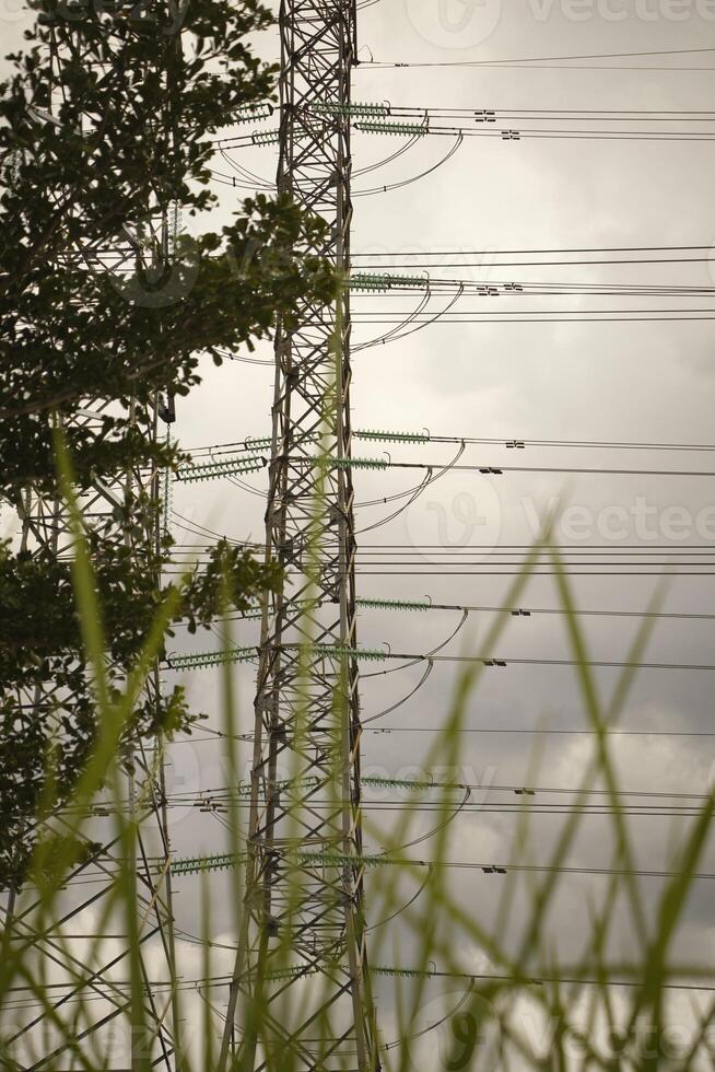 Tall power transmission tower with multiple cables stretch across the sky, set against a cloudy backdrop. Lush greenery and trees fill the foreground, contrasting with the industrial structures above. photo