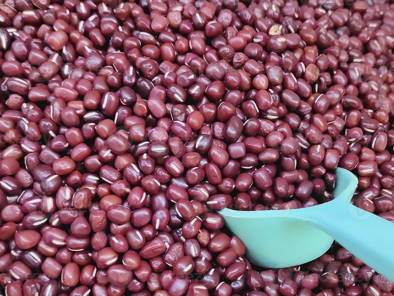 A close-up view reveals vibrant red beans nestled together with a white scope, their glossy surfaces reflecting light and hinting at the delicious dish they will soon become. photo