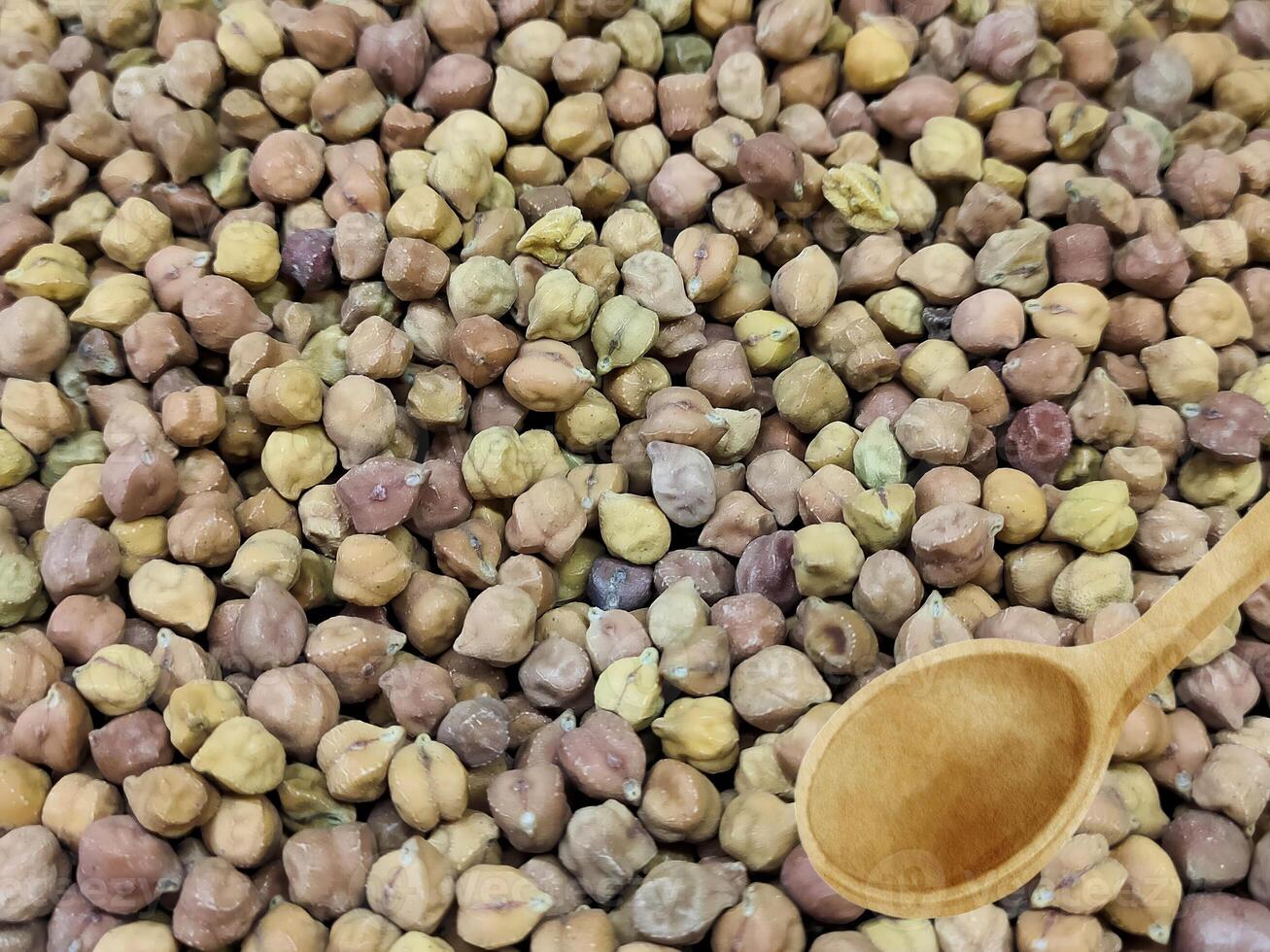 Dried raw small and brown chickpeas stand out when arranged in a rustic wooden scoop with their earthy tones and unique shapes highlight the artisanal quality of natural ingredients. photo