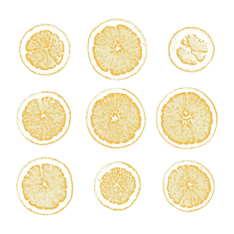 Orange slices stippling retro Christmas elements vector