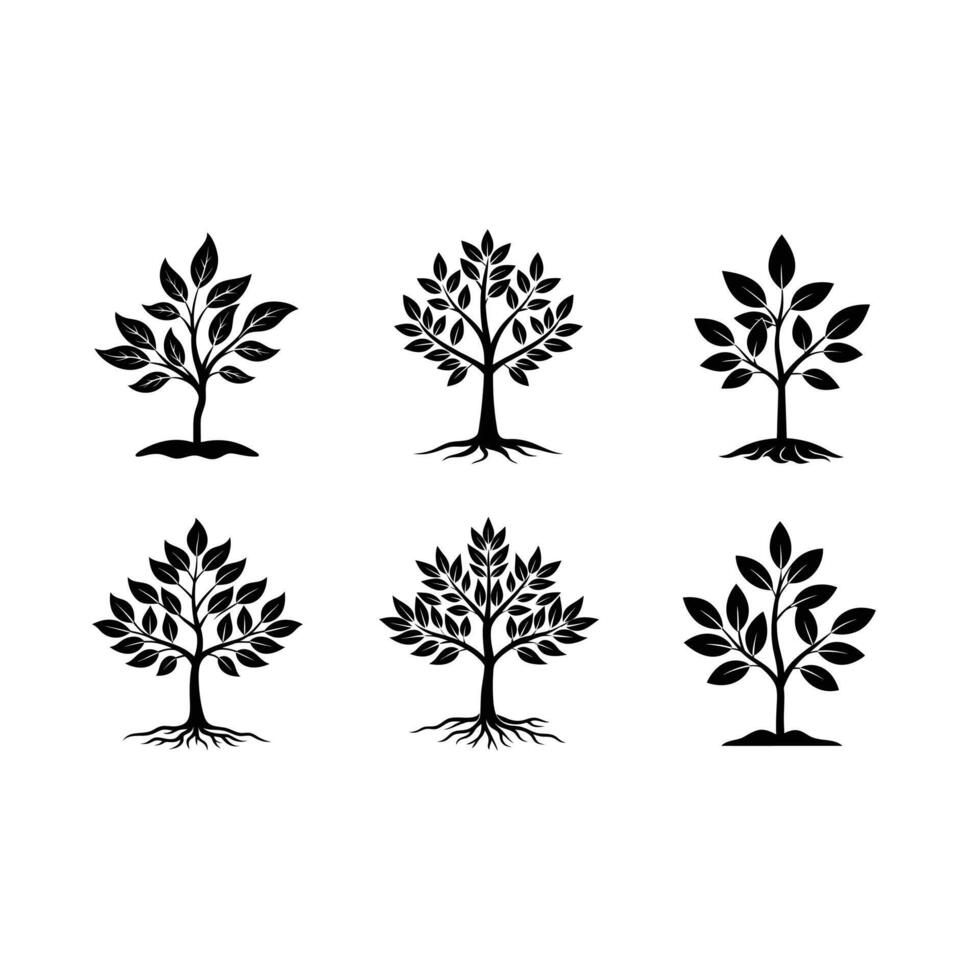 Premium Sapling Graphics Design for Creative Projects vector
