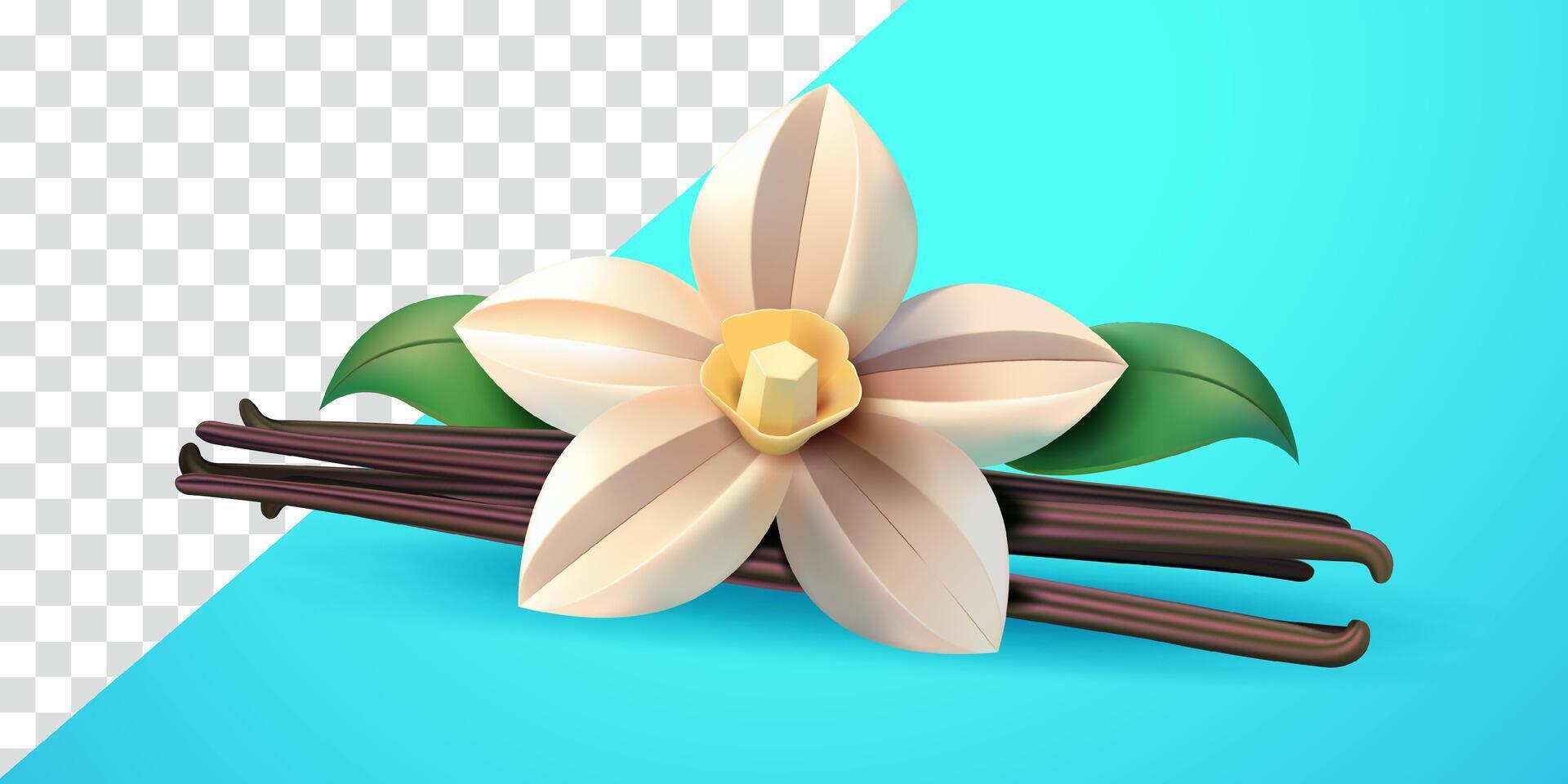 Vanilla flower, 3d. Suitable for decoration, elements, food, drinks and advertising vector