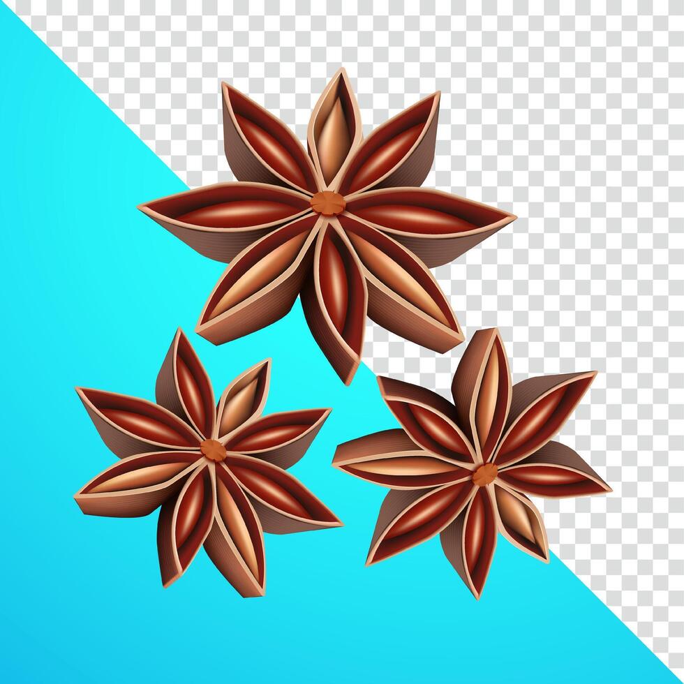 Star anise, 3d. Suitable for decoration, elements, food and advertising vector