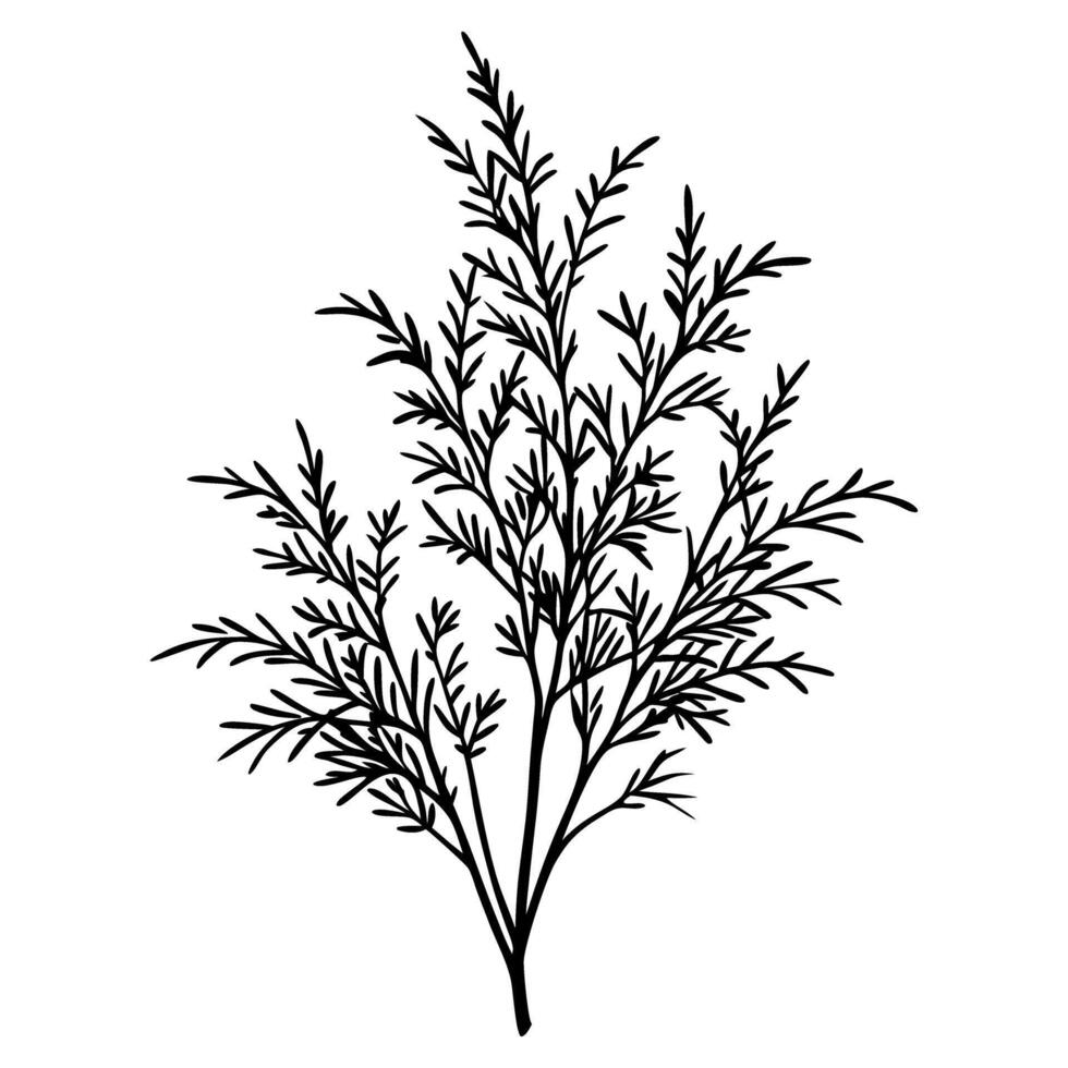 Minimalist black and white botanical illustration of a delicate leafy branch in silhouette style vector