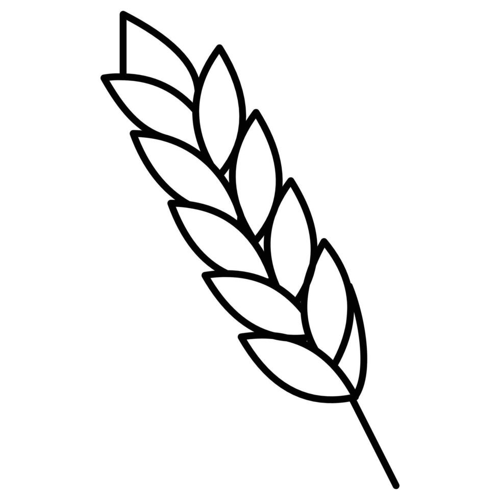 A black and white drawing of a wheat stalk vector