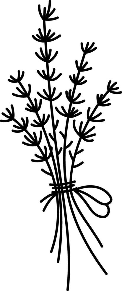 lavender line icon. Beautiful garden flower black and white illustration or coloring page vector