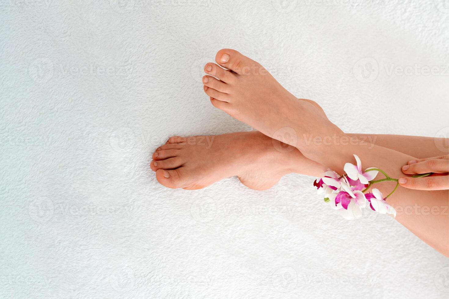 Beautiful legs concept. Female well-groomed legs and pedicures with flower, free space photo