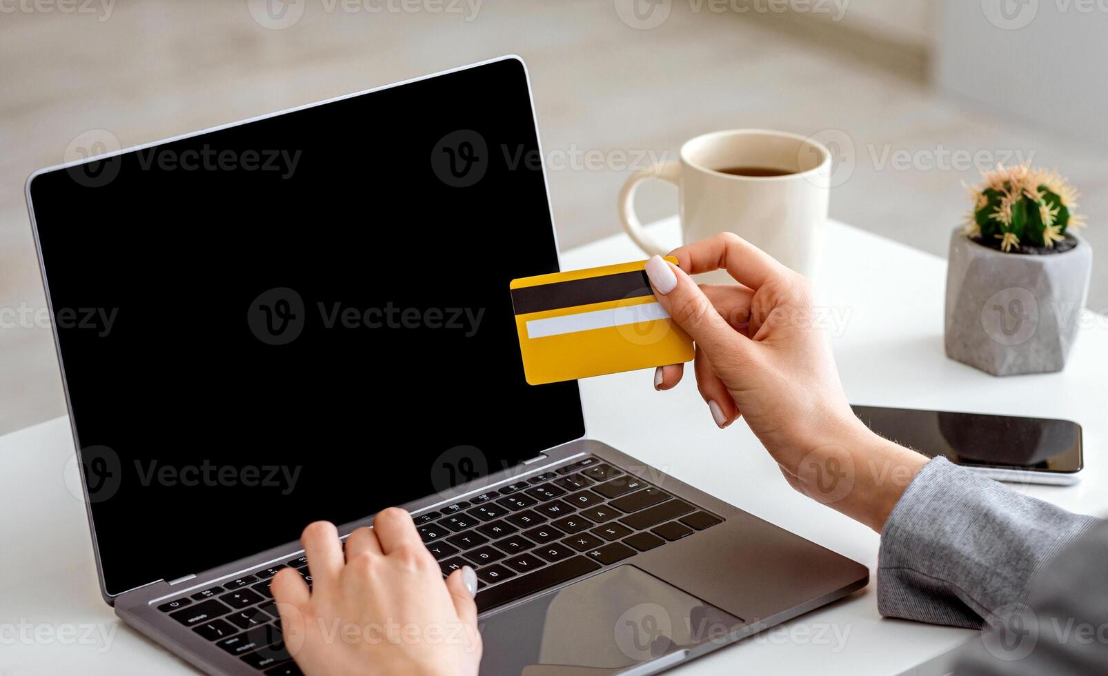 Online shopping at self-isolation using laptop and credit card, empty screen photo