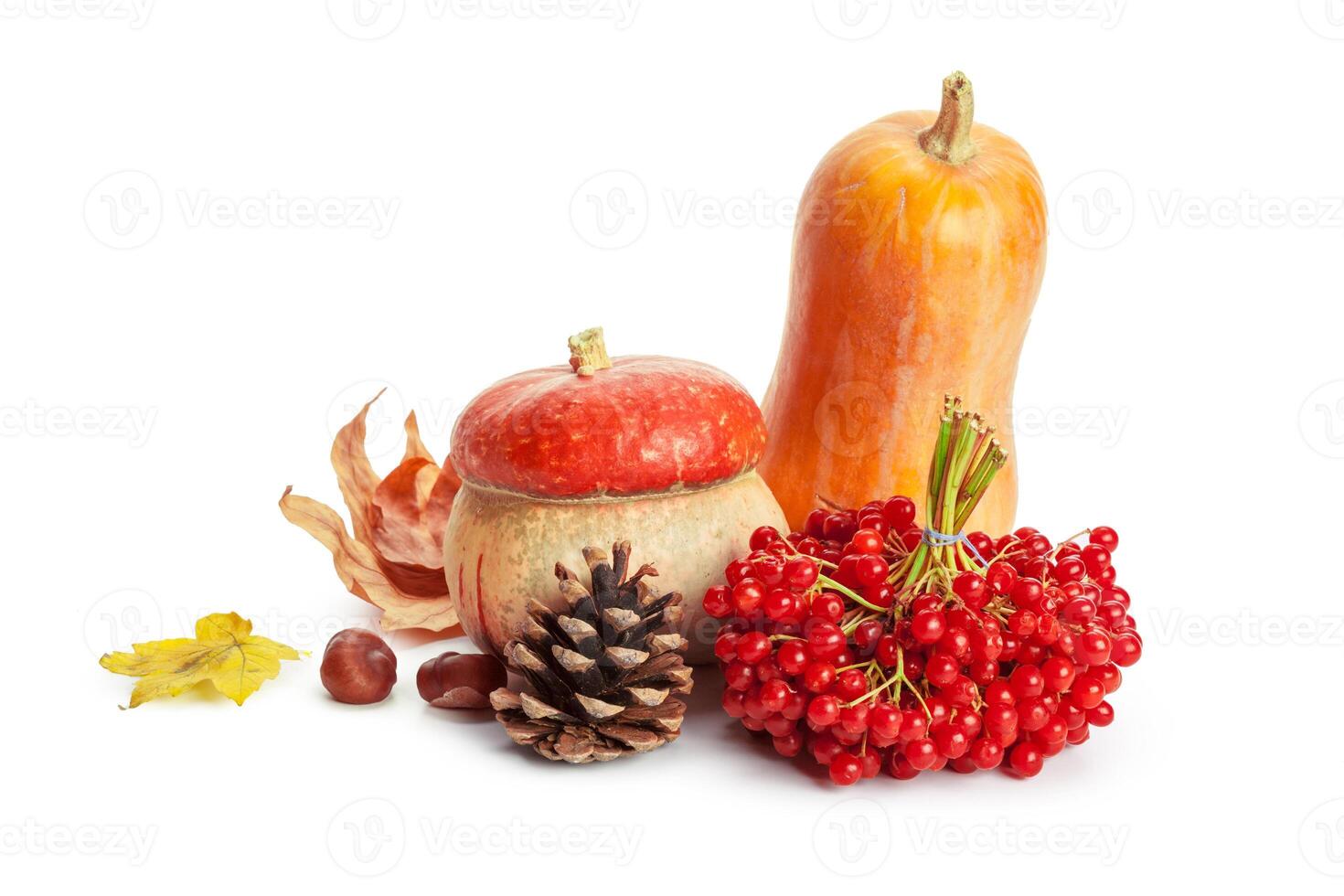 Autumn display with pumpkin and leaves isolated on white background photo