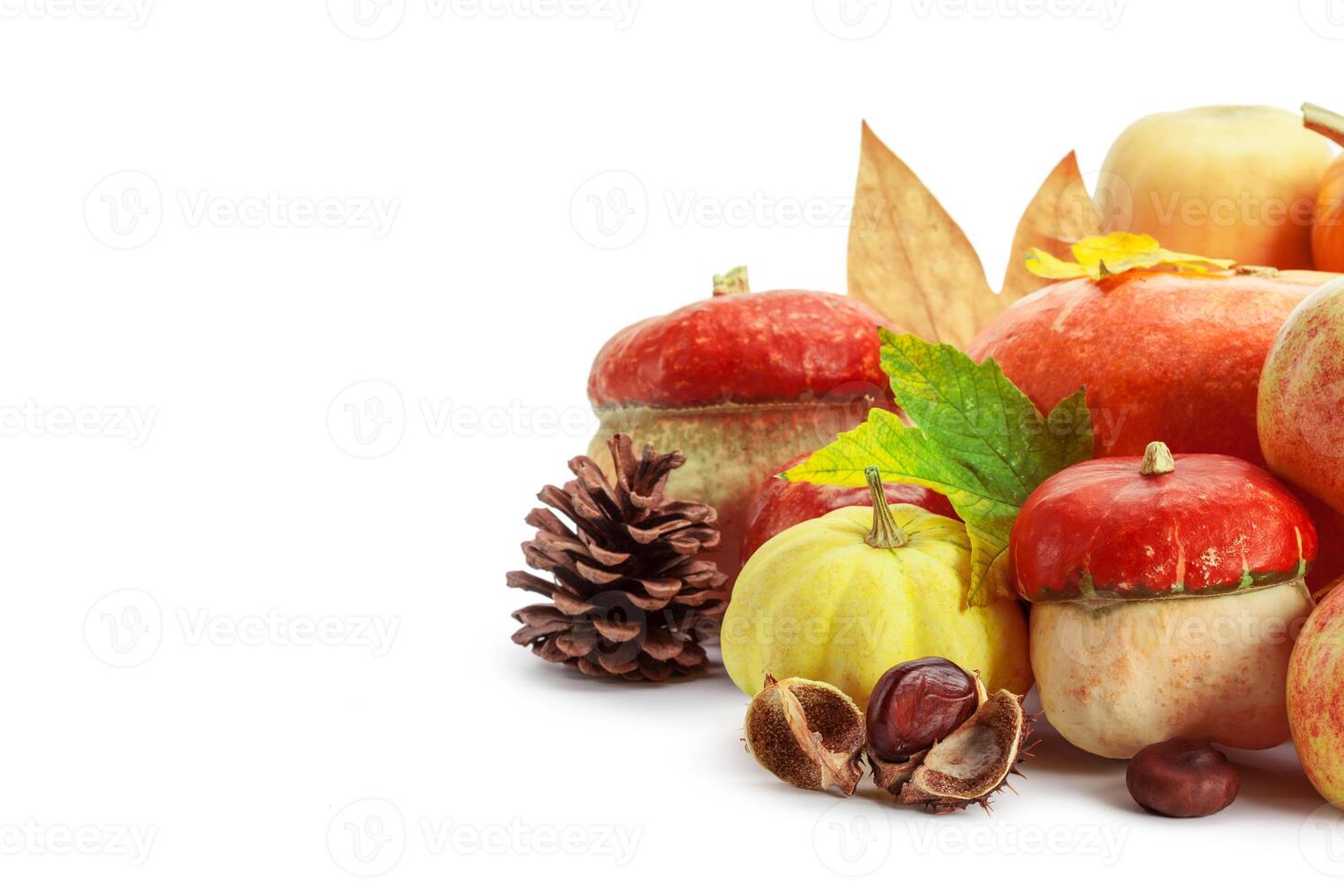 Autumn display with pumpkin and leaves isolated on white background photo