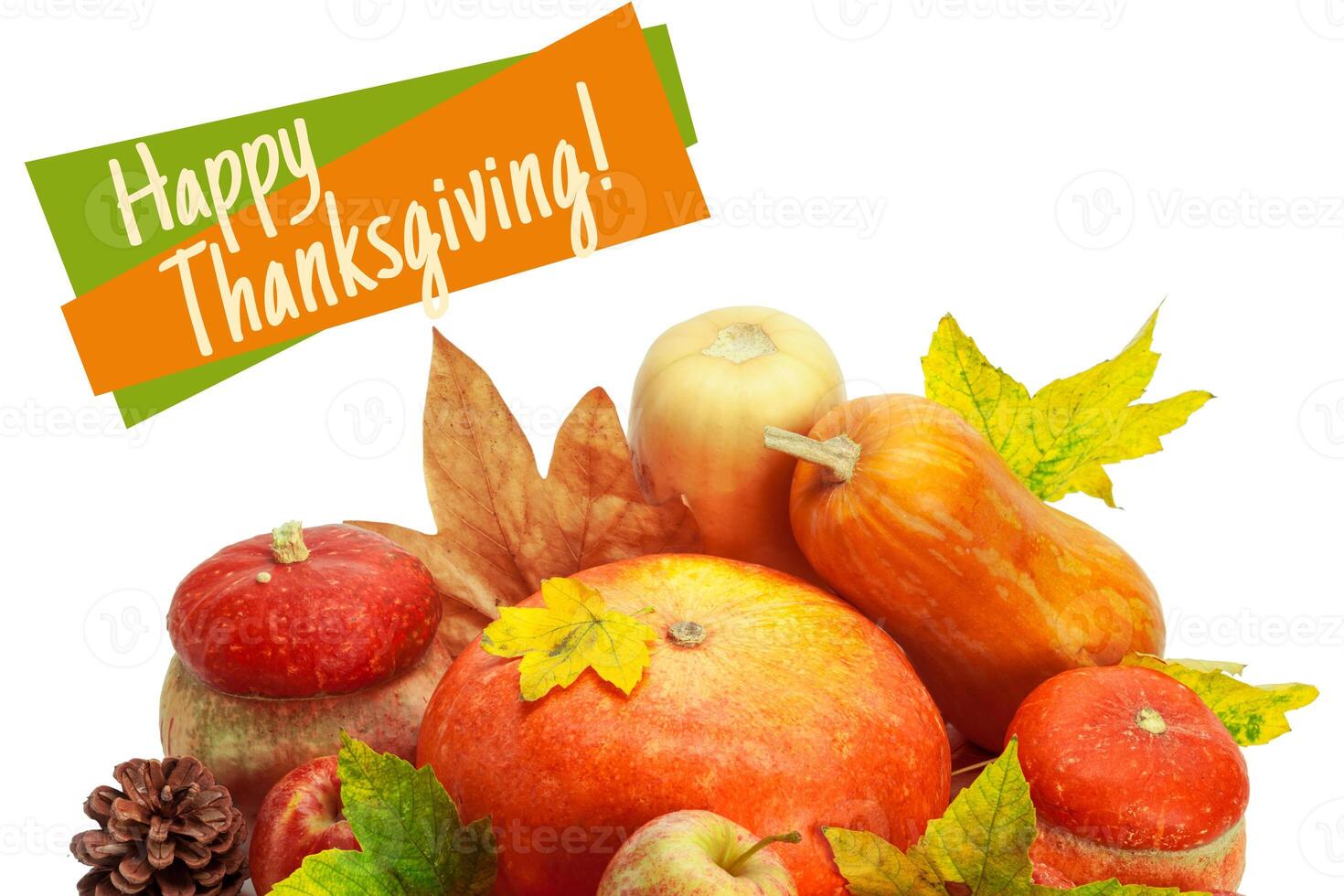Happy Thanksgiving tag with autumn pumpkins photo