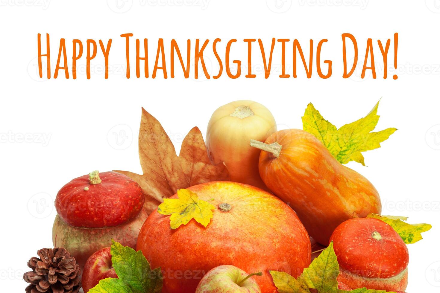Happy Thanksgiving tag with autumn pumpkins photo