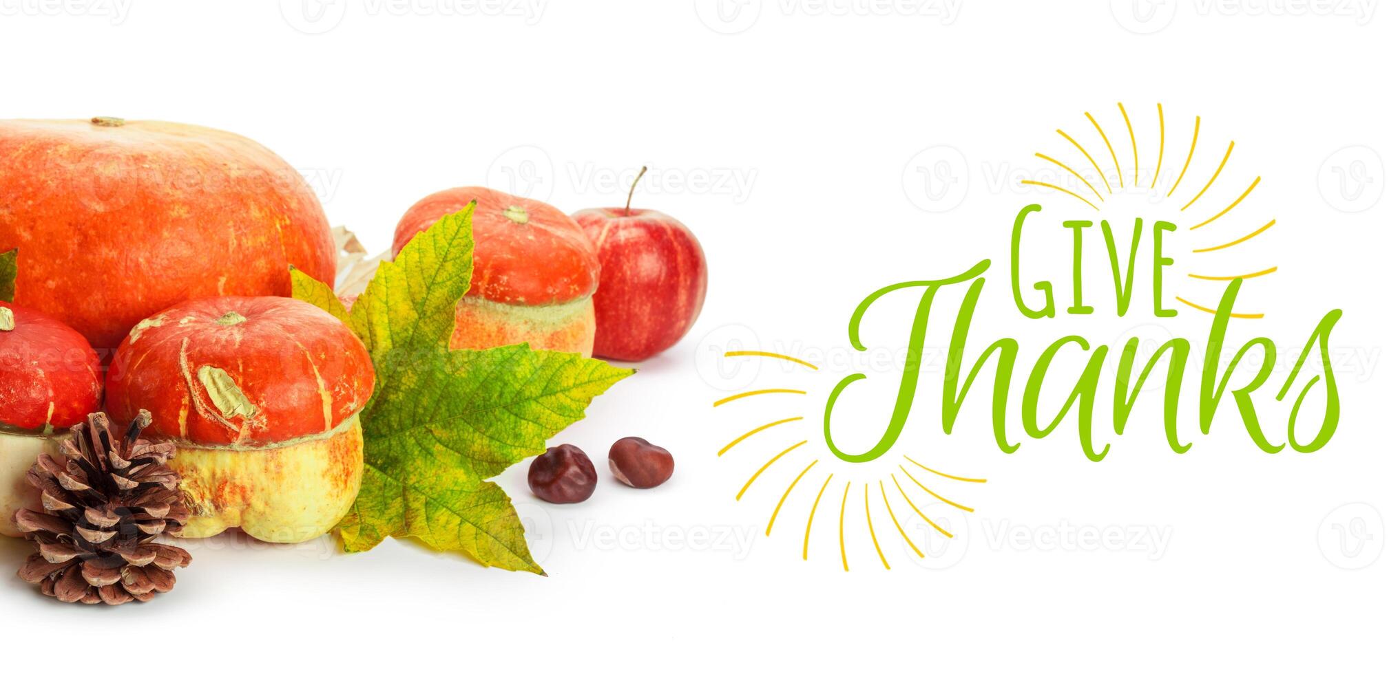 Happy Thanksgiving tag with autumn pumpkins photo