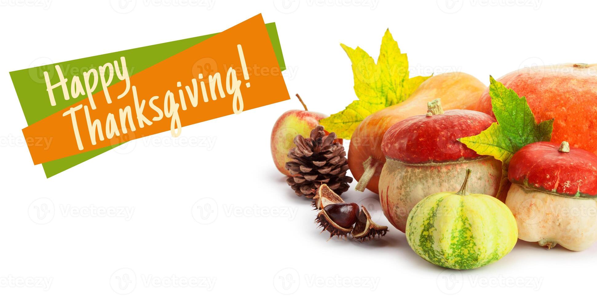 Happy Thanksgiving tag with autumn pumpkins photo