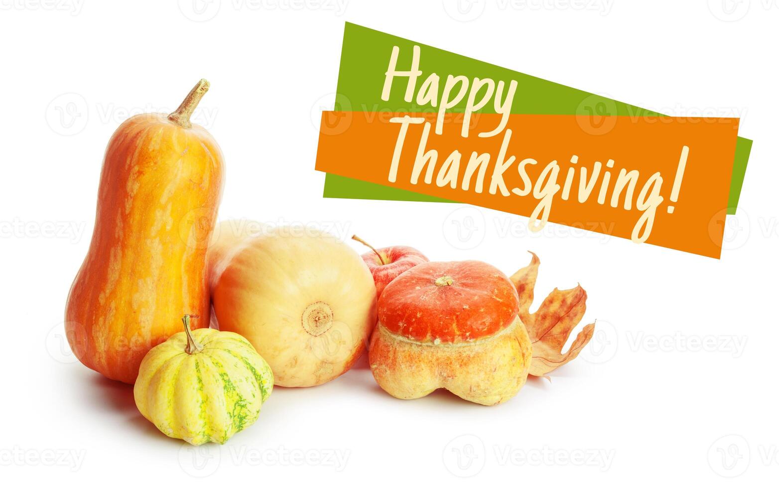 Happy Thanksgiving tag with autumn pumpkins photo