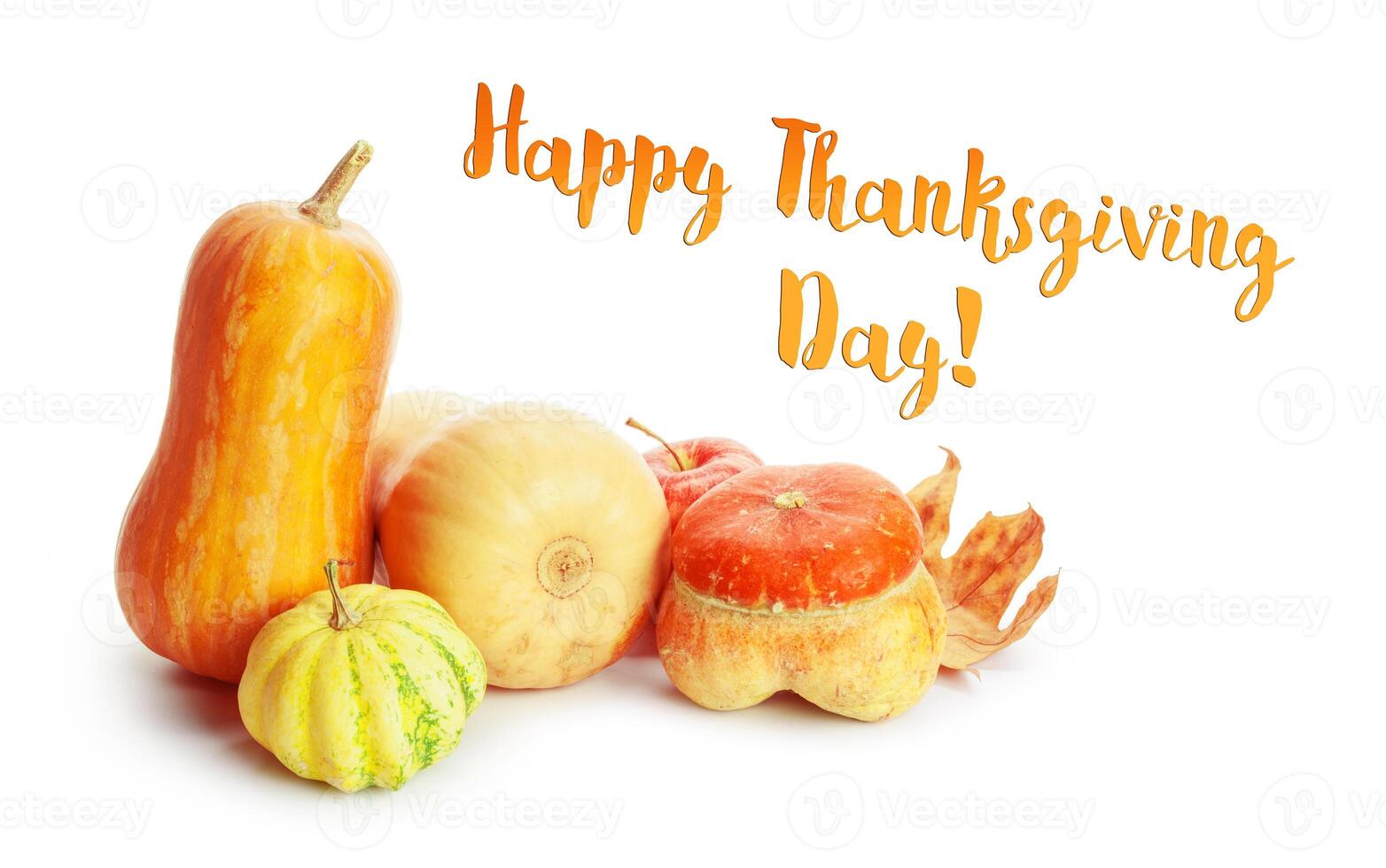 Happy Thanksgiving tag with autumn pumpkins photo