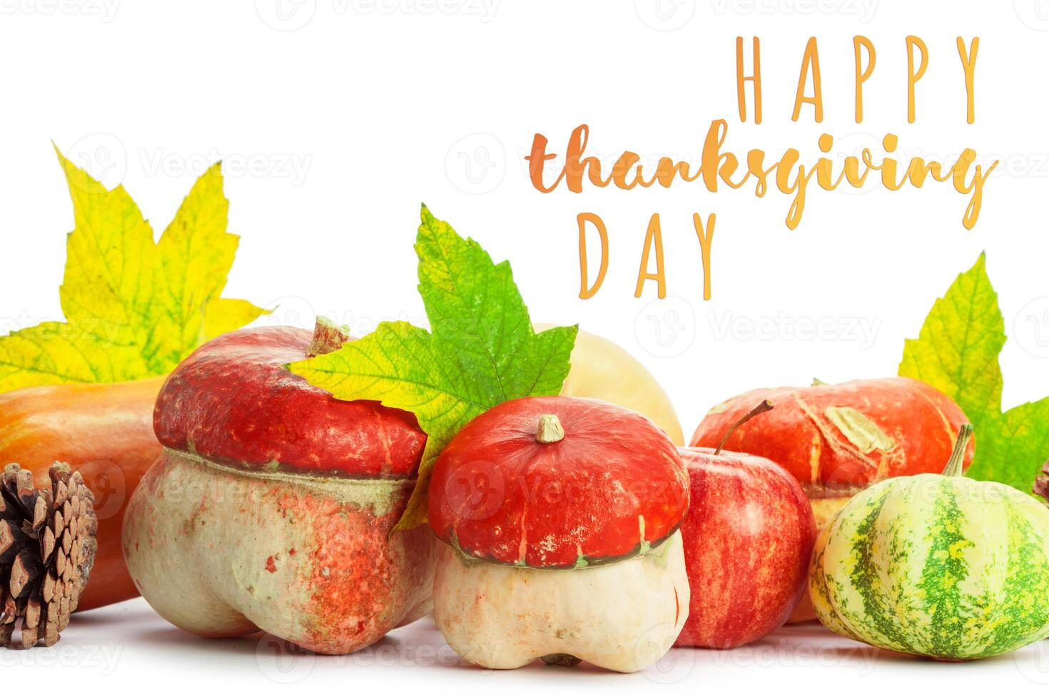 Happy Thanksgiving tag with autumn pumpkins photo