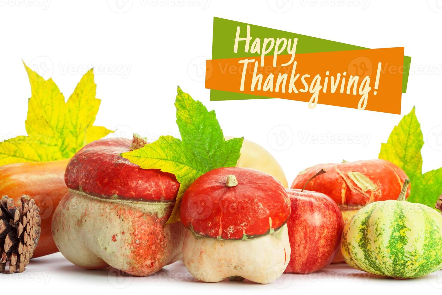 Happy Thanksgiving tag with autumn pumpkins photo