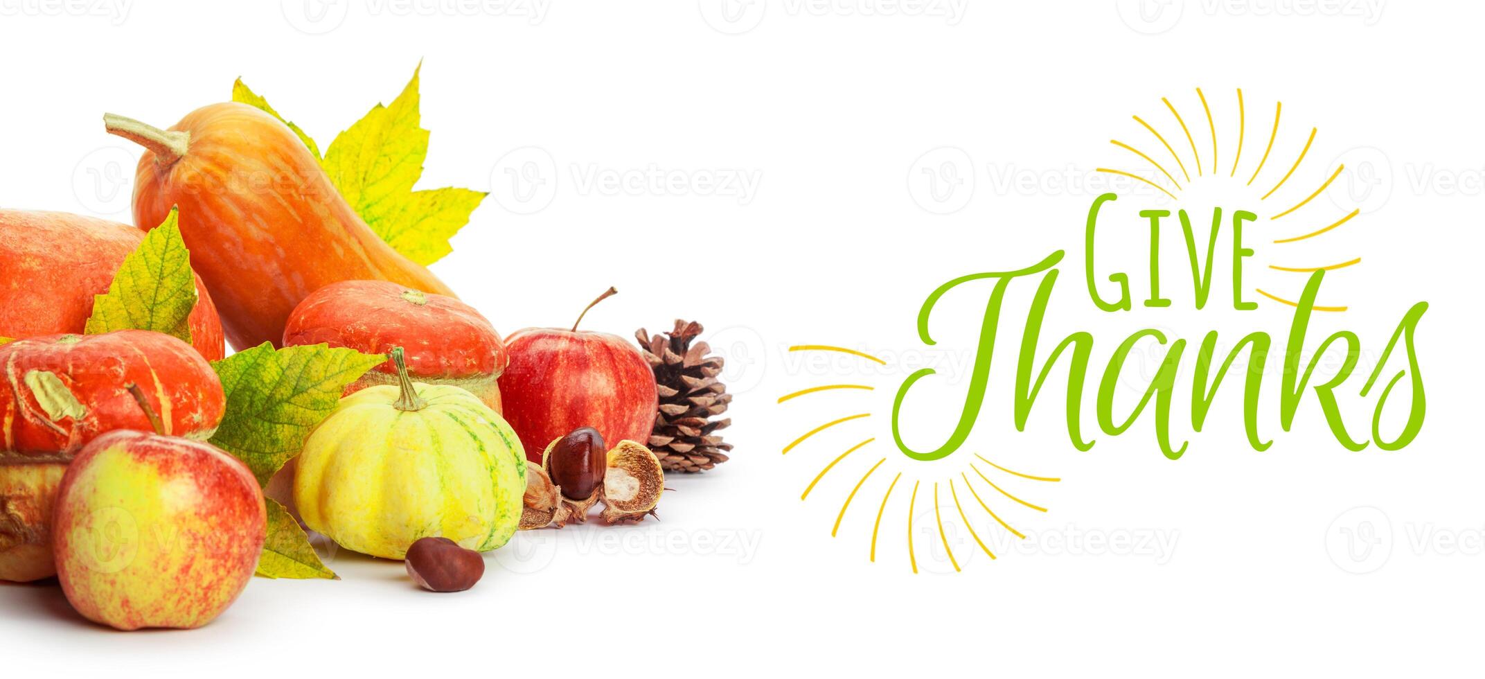Happy Thanksgiving tag with autumn pumpkins photo
