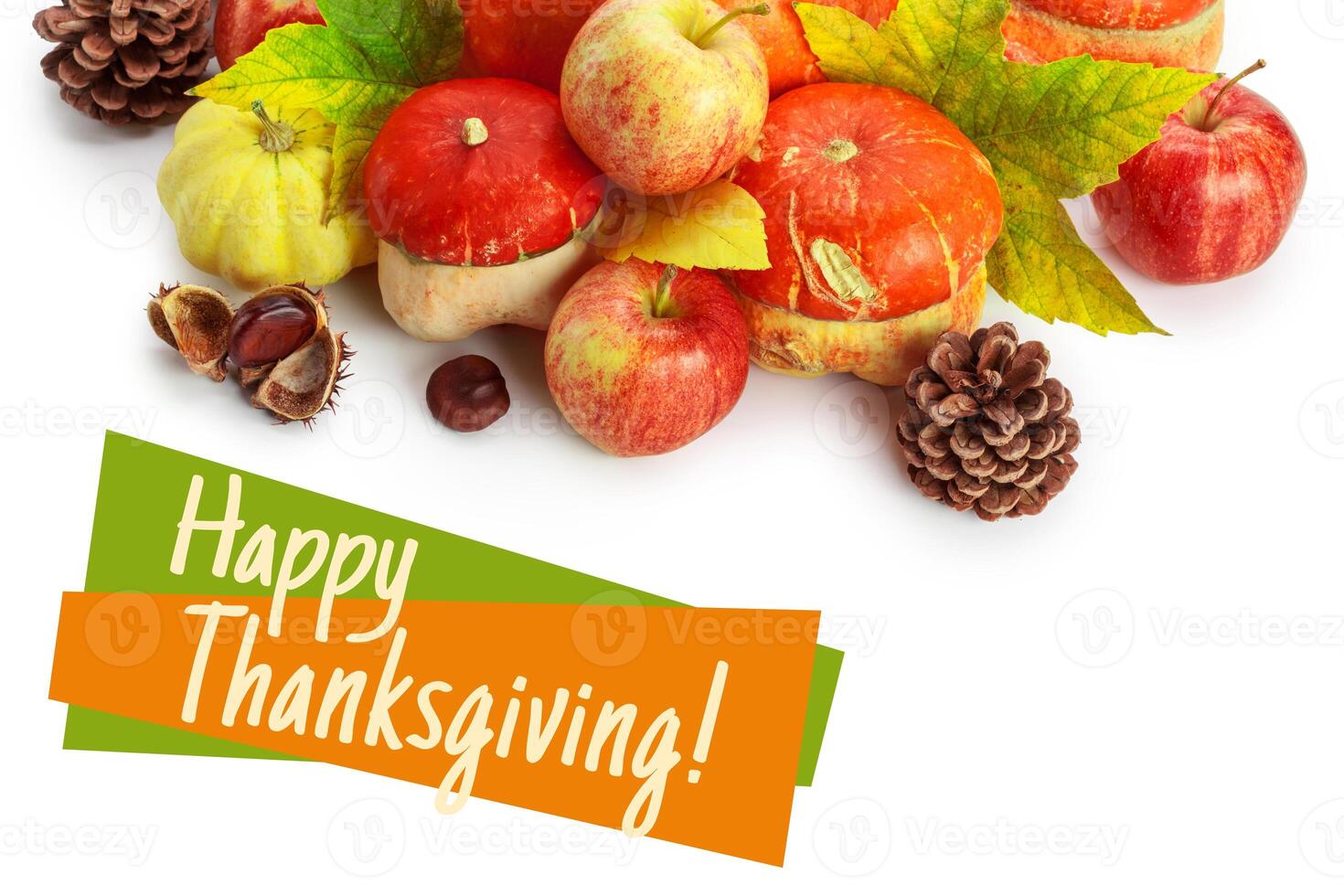 Happy Thanksgiving tag with autumn pumpkins photo