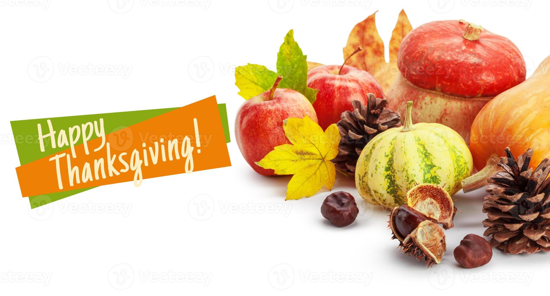Happy Thanksgiving tag with autumn pumpkins photo