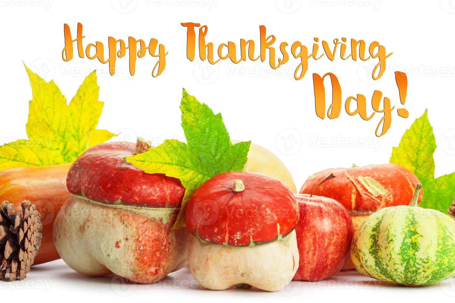 Happy Thanksgiving tag with autumn pumpkins photo