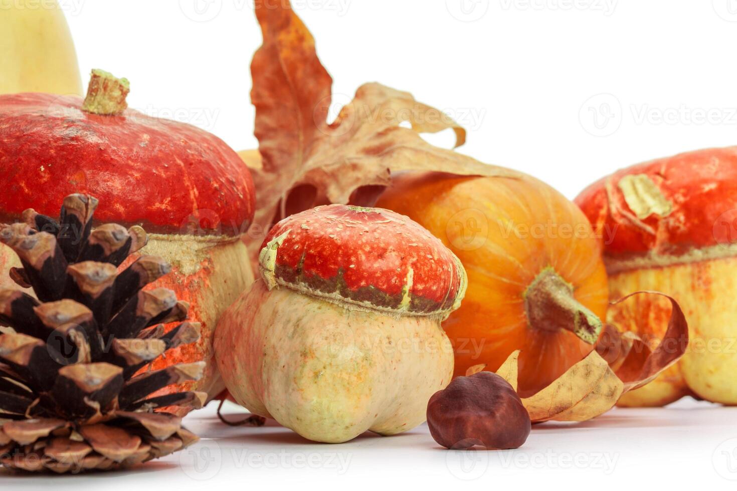 Autumn display with pumpkin and leaves isolated on white background photo