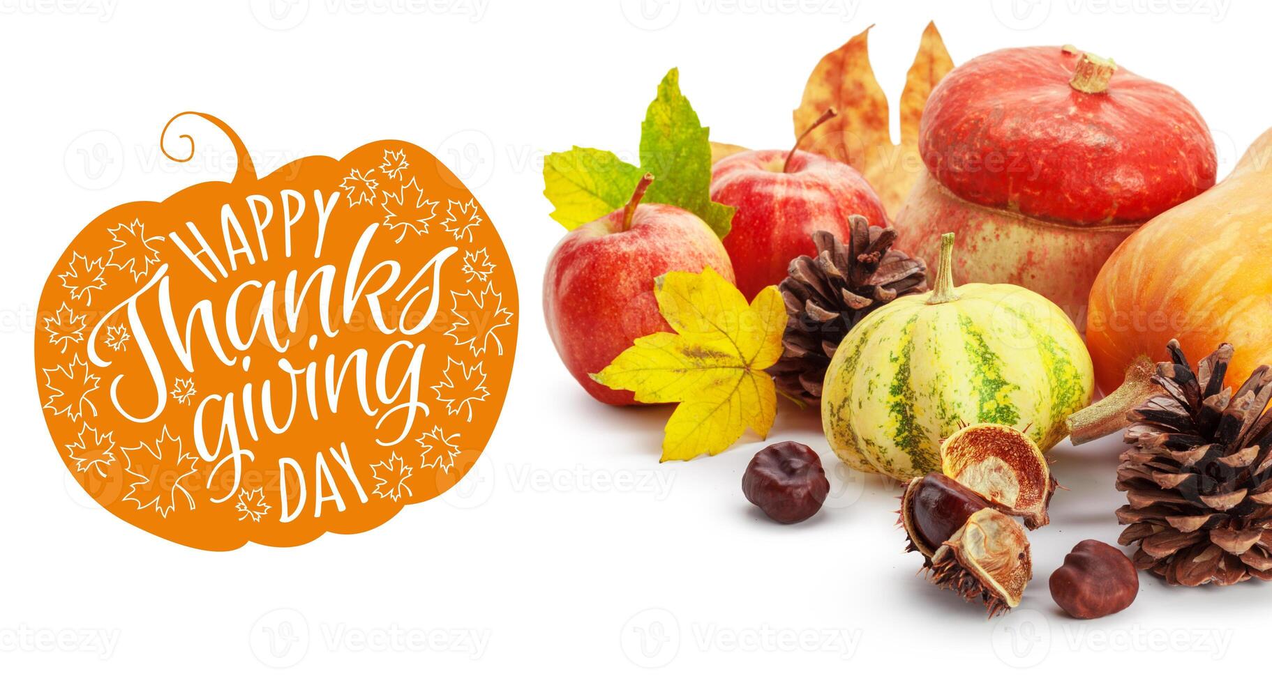 Happy Thanksgiving tag with autumn pumpkins photo
