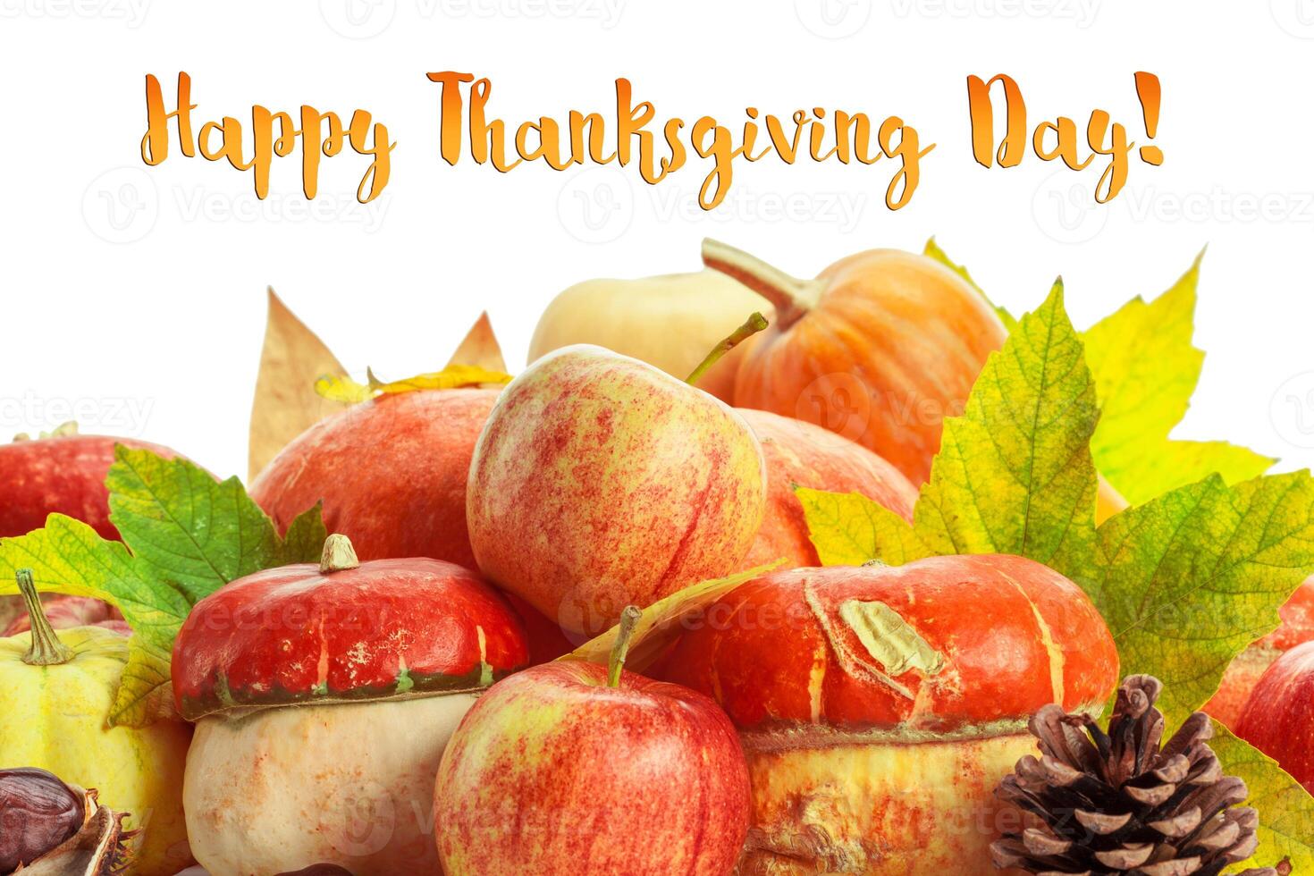 Happy Thanksgiving tag with autumn pumpkins photo