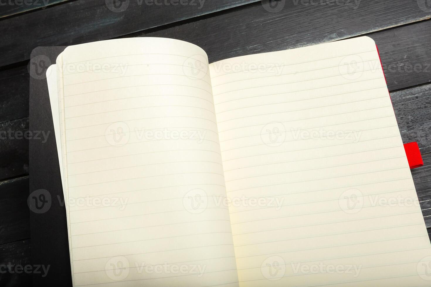Blank open notebook photo