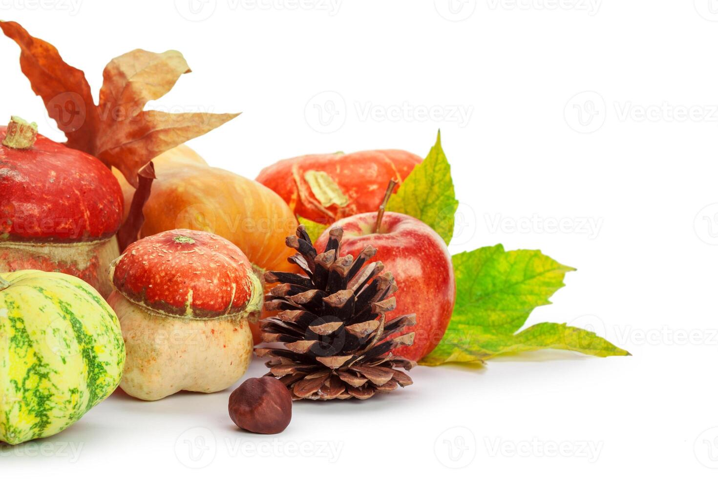 Autumn display with pumpkin and leaves isolated on white background photo