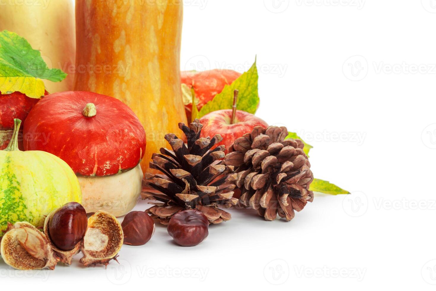 Autumn display with pumpkin and leaves isolated on white background photo