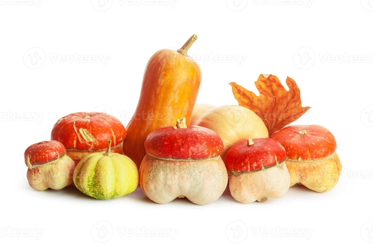 Autumn display with pumpkin and leaves isolated on white background photo