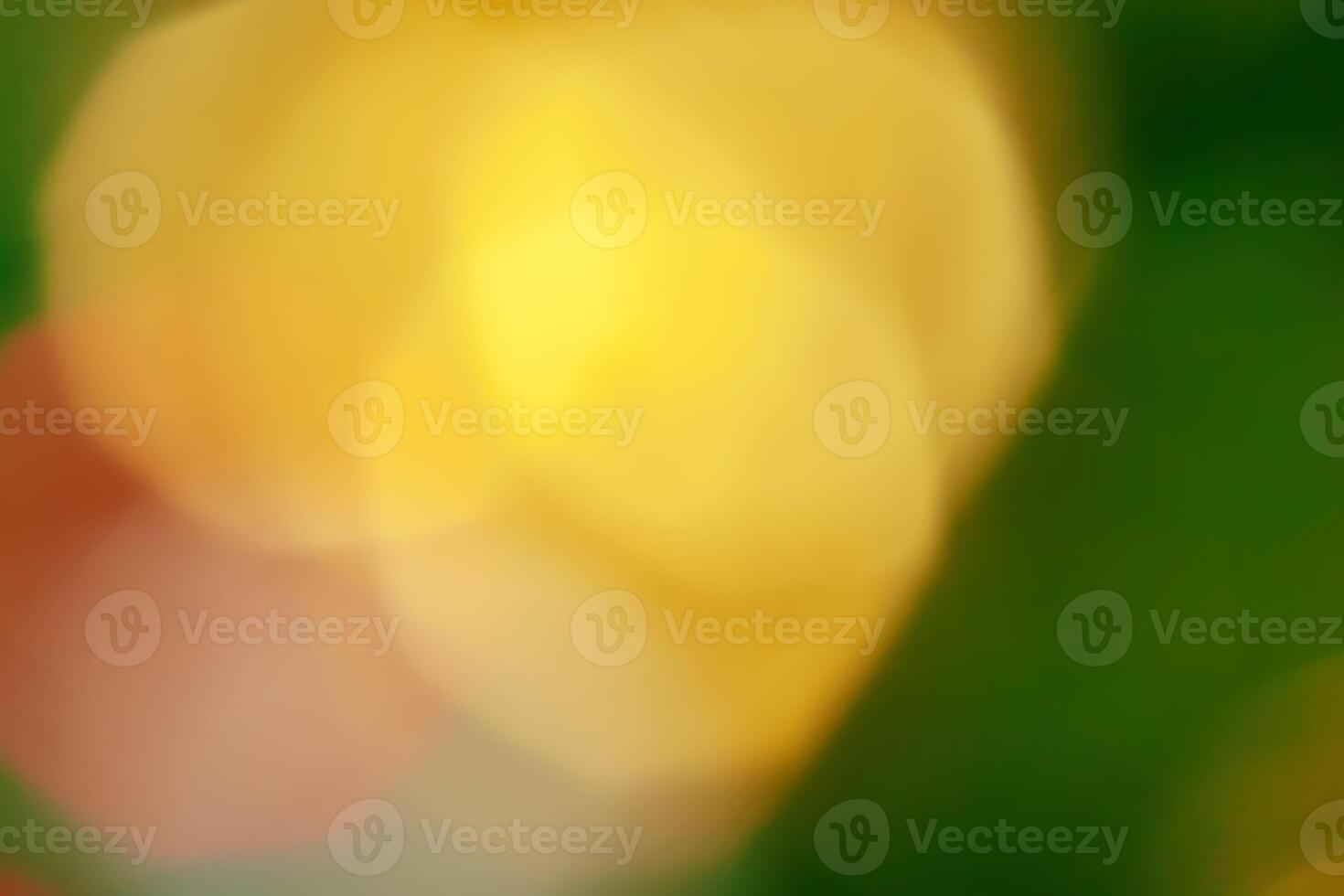 abstract blur bokeh photo