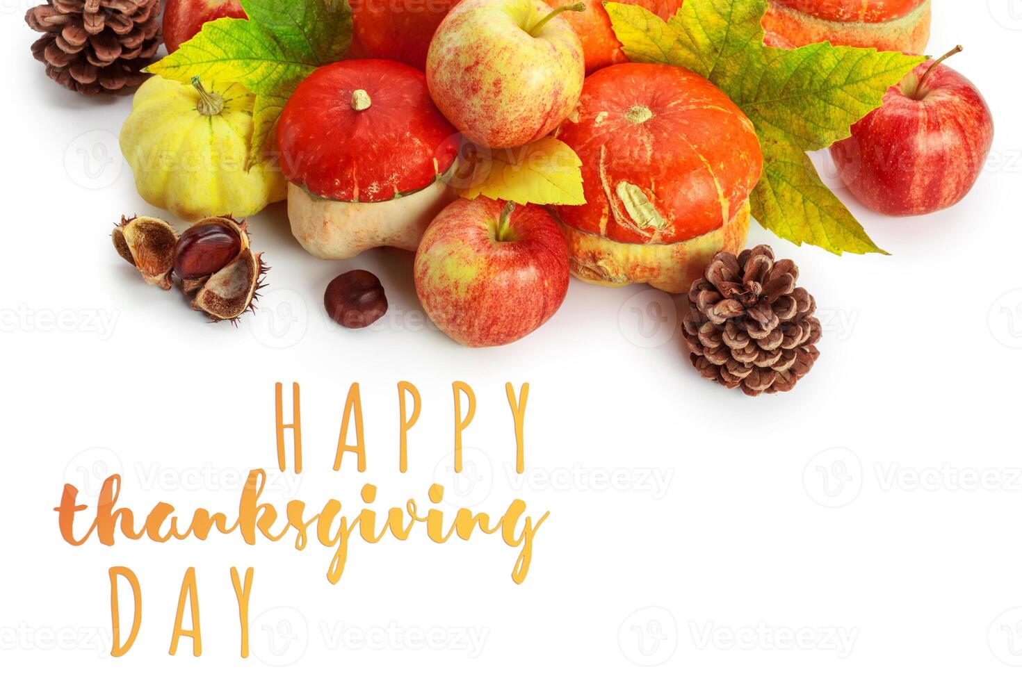 Happy Thanksgiving tag with autumn pumpkins photo