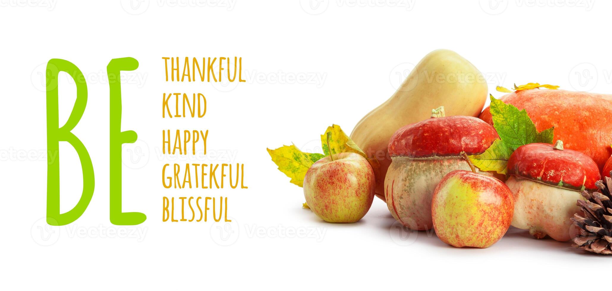 Happy Thanksgiving tag with autumn pumpkins photo