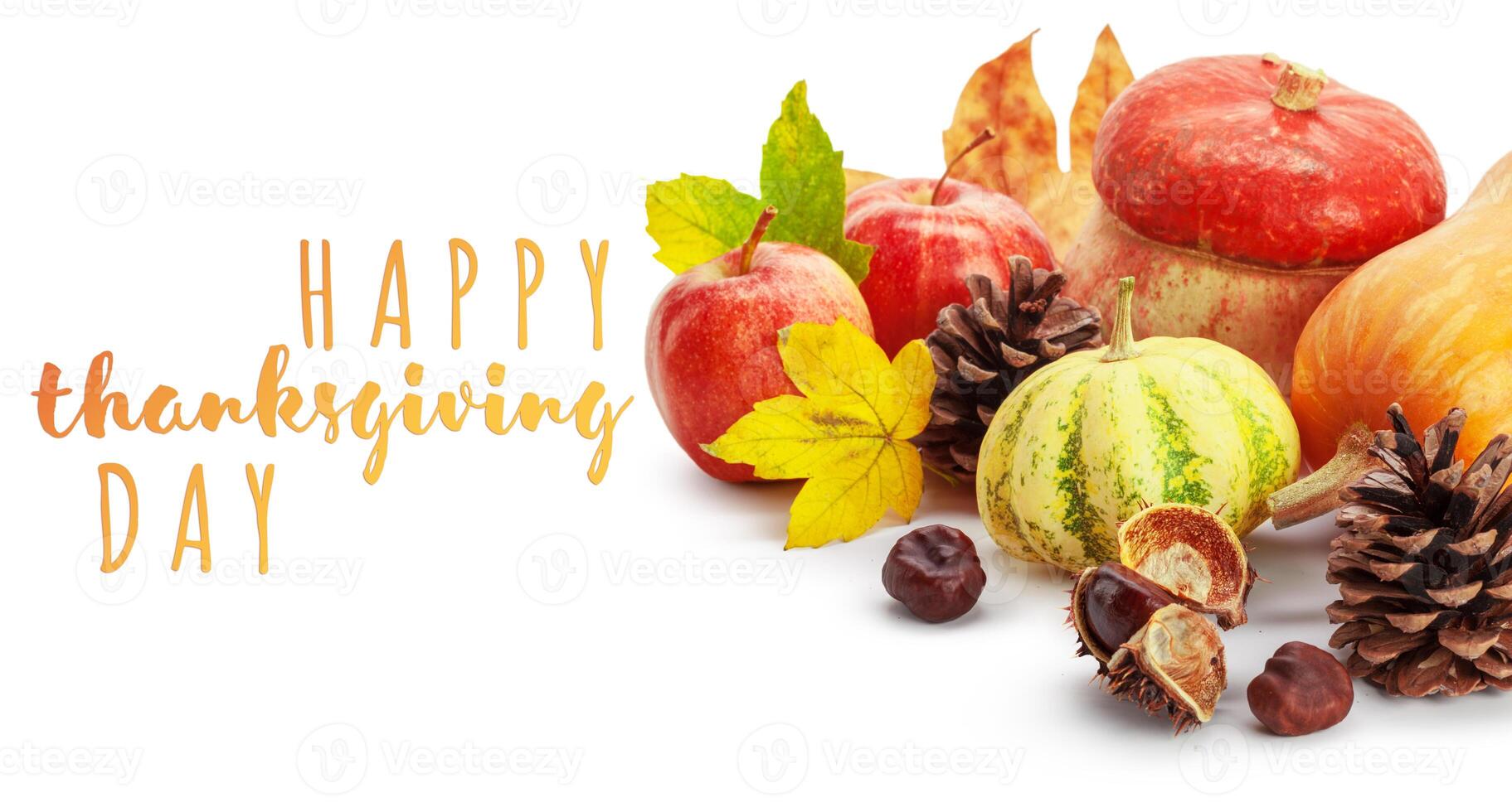 Happy Thanksgiving tag with autumn pumpkins photo