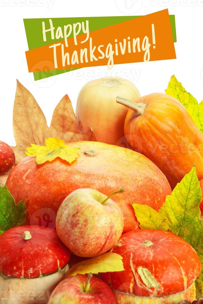 Happy Thanksgiving tag with autumn pumpkins photo