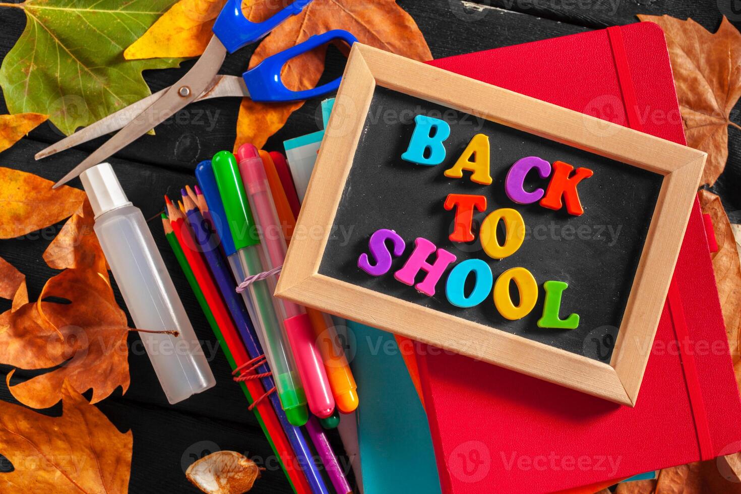Back to school chalkboard photo