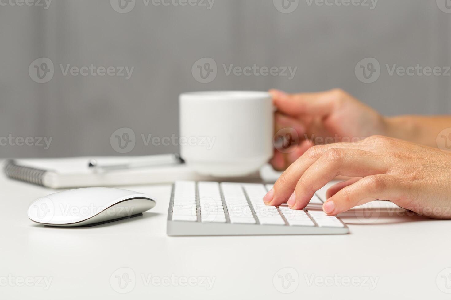 Woman's hands on a keyboard photo